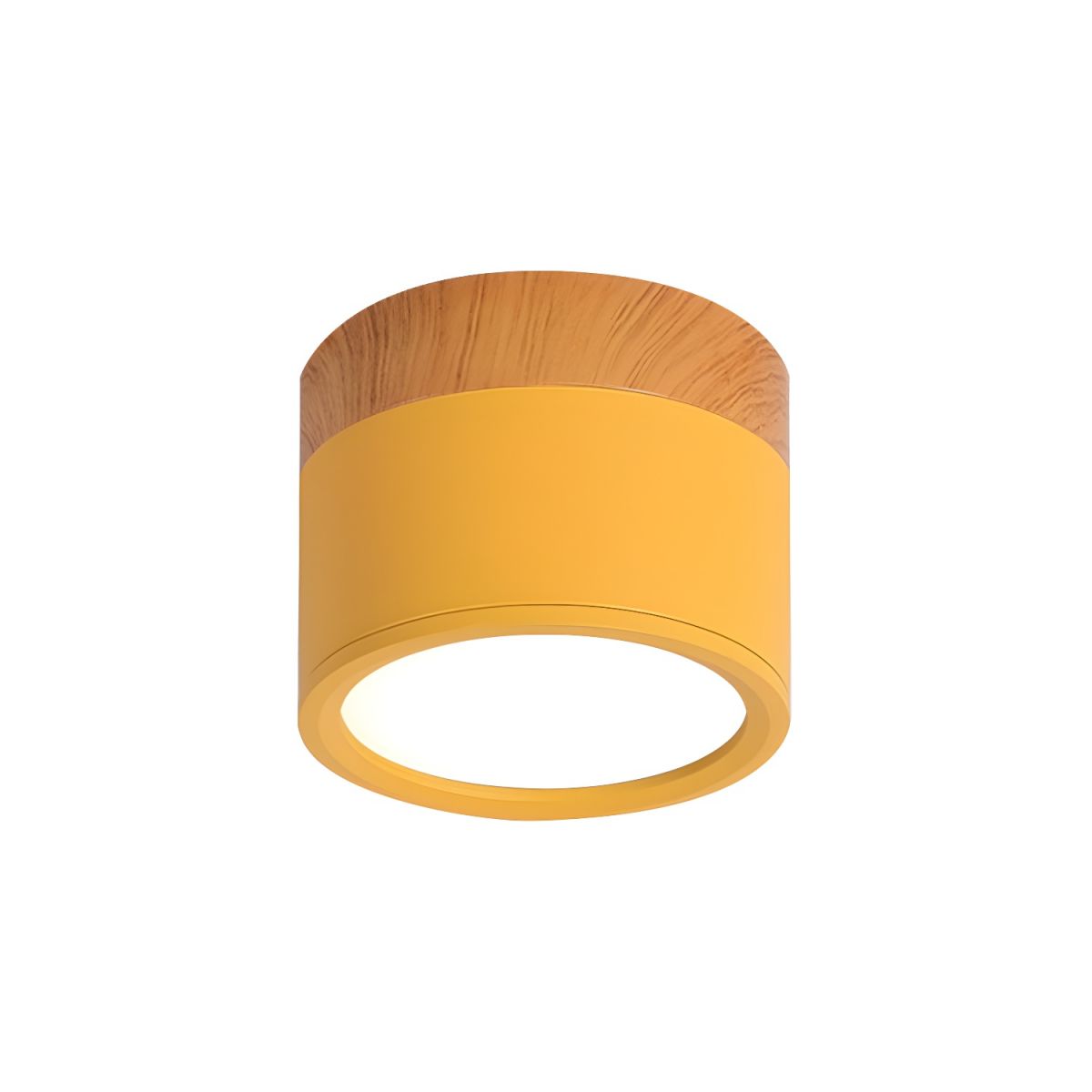 Nordic LED Metal Flush Mount Ceiling Light Fixture | Velisse