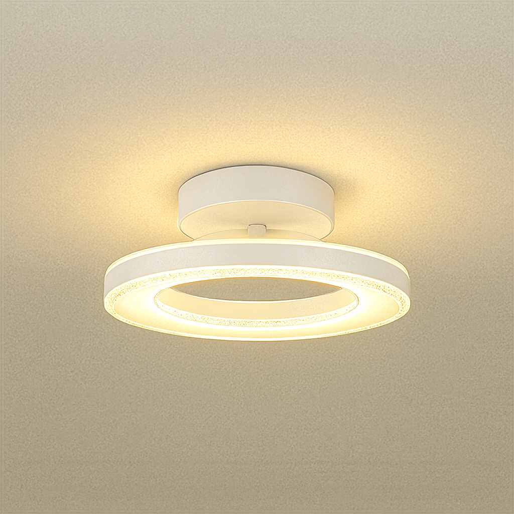 Round Acrylic Ceiling Light for Hallways Modern | Velirox