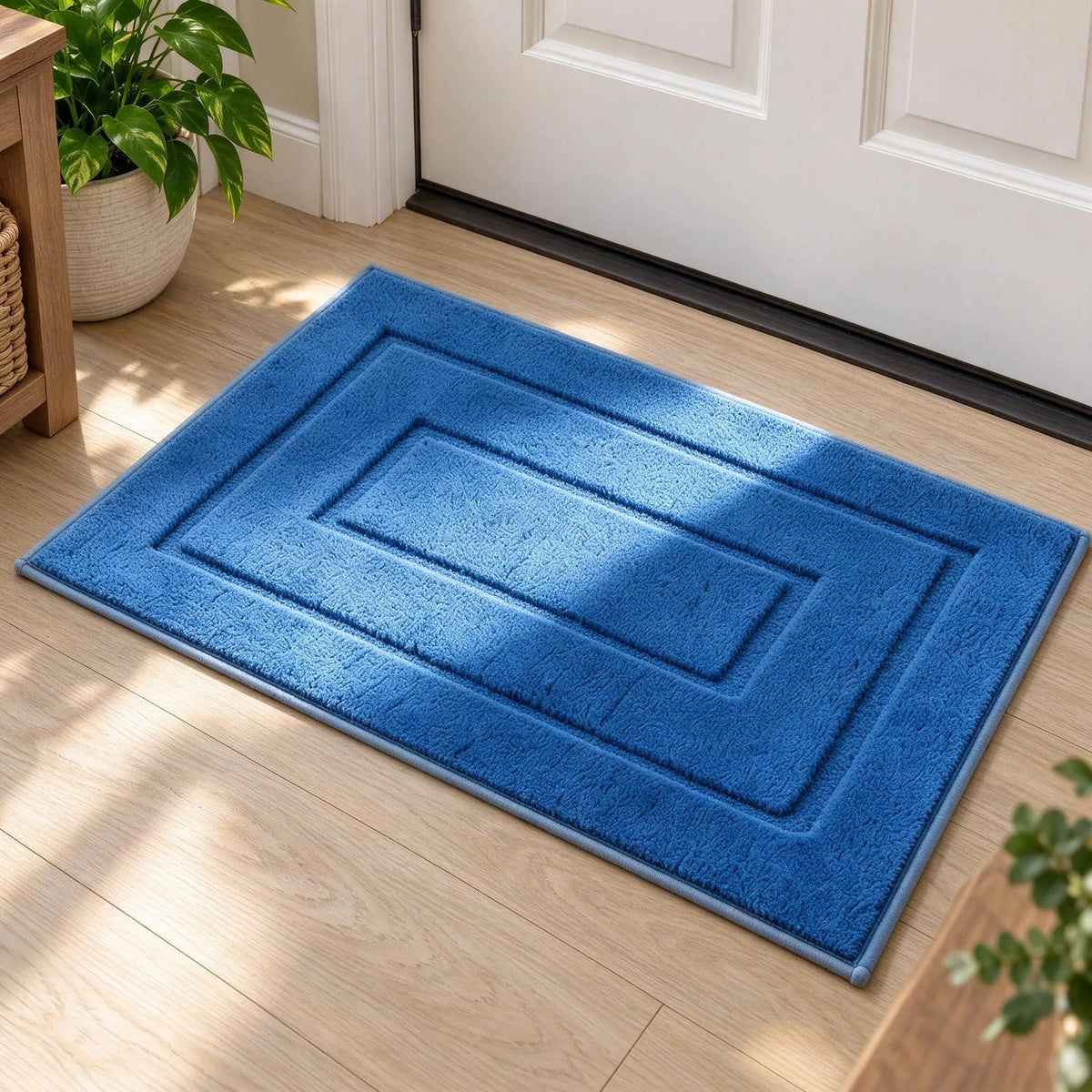 Absorbent Indoor Floor Door Mat