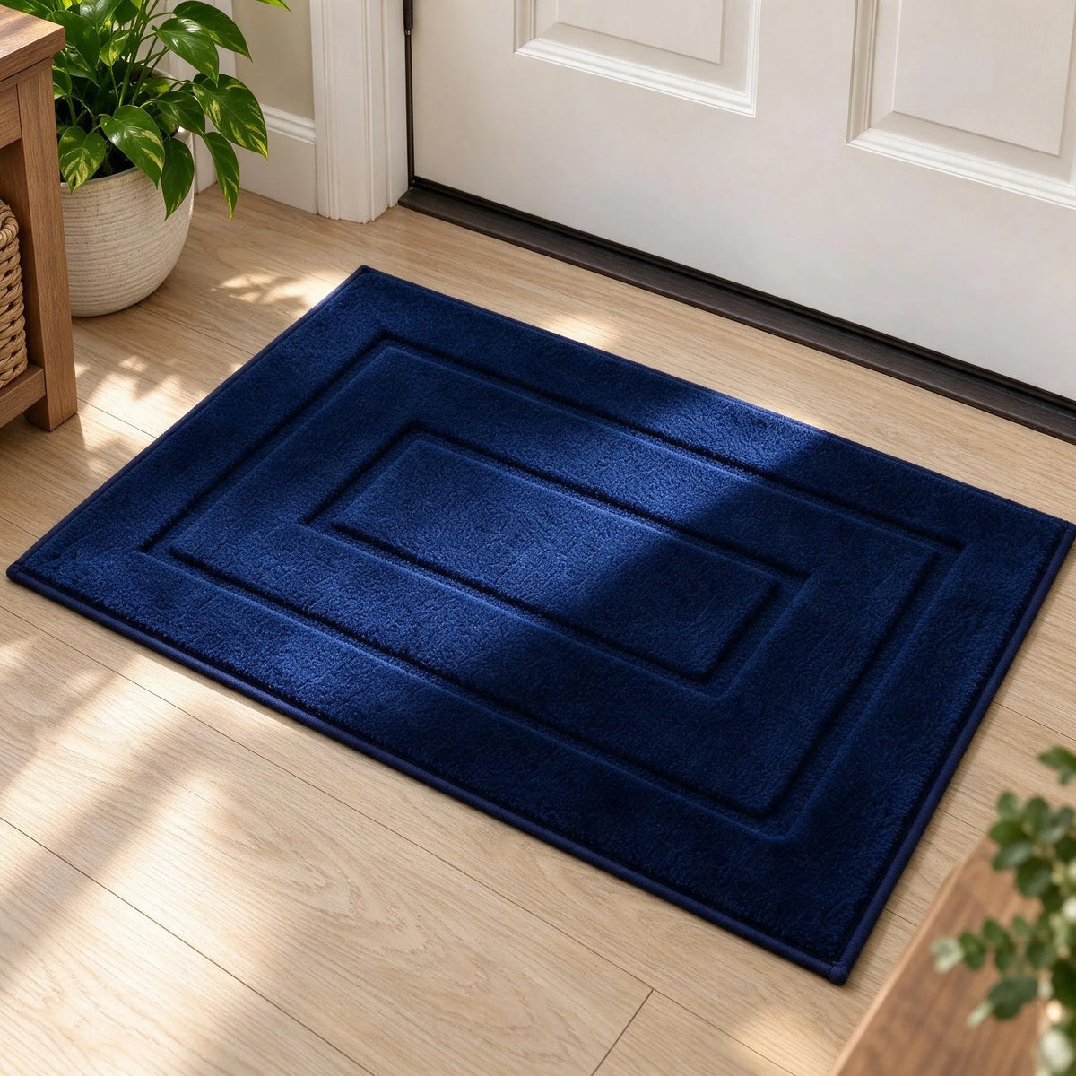 Absorbent Indoor Floor Door Mat