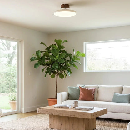 Adjustable LED Ceiling Light with Round Shade | Aurvex