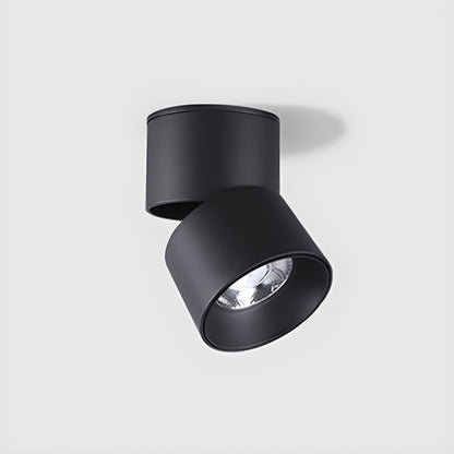 Ceiling Light LED Modern Flush Mount Design | Lumirix