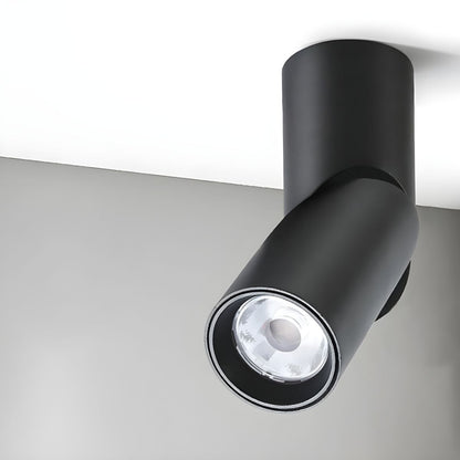 Ceiling Light Nordic Aluminum Cylinder Flush Mount | Lurvexa