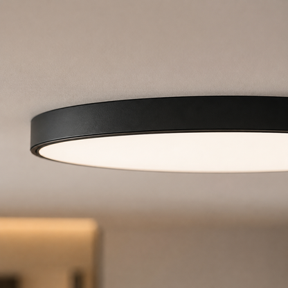 Contemporary Ultra-Thin Flush Mount Ceiling Light | LED Fixture