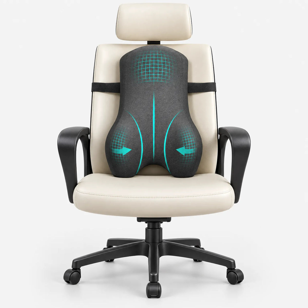 Contoured Back Support Cushion