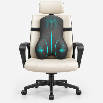 Contoured Back Support Cushion