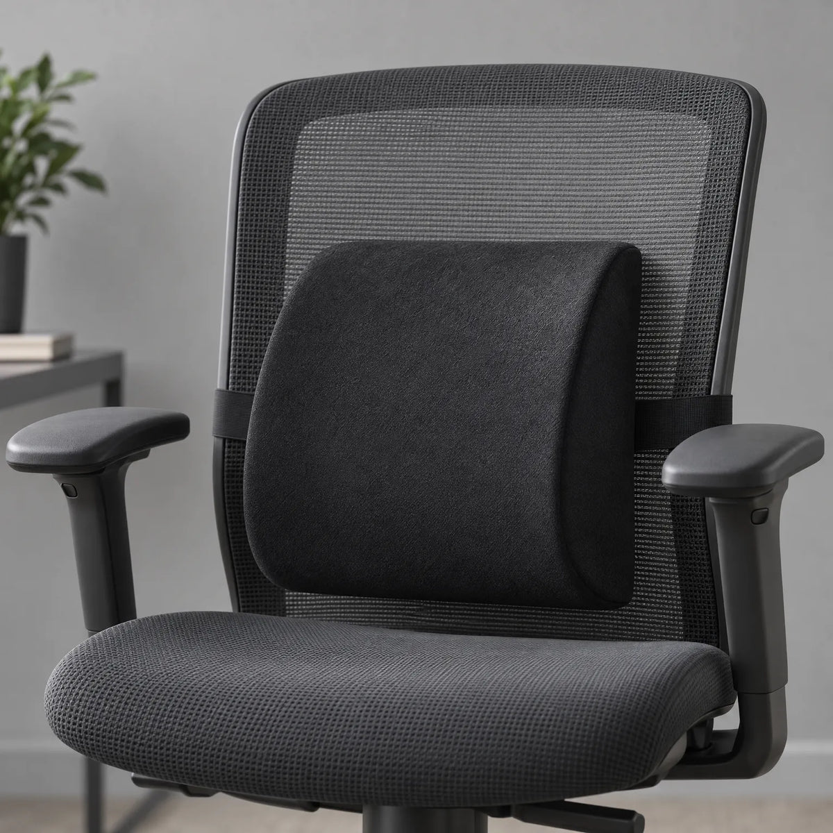 Ergonomic Office Chair Lumbar Pillow