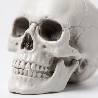 Halloween Skeleton Hanging Posable Scary Haunted House Decoration