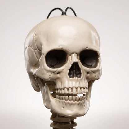 Halloween Skeleton Posable Full Body Scary Outdoor Yard Decoration 35 Inch