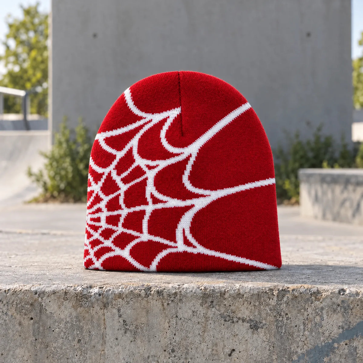 Knit Spider Web Skull Cap