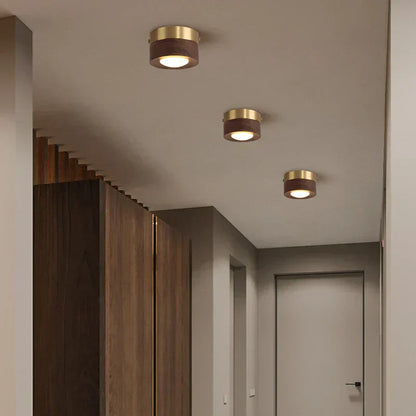 LED Ceiling Light in Walnut Wood with Spotlight | Novalum