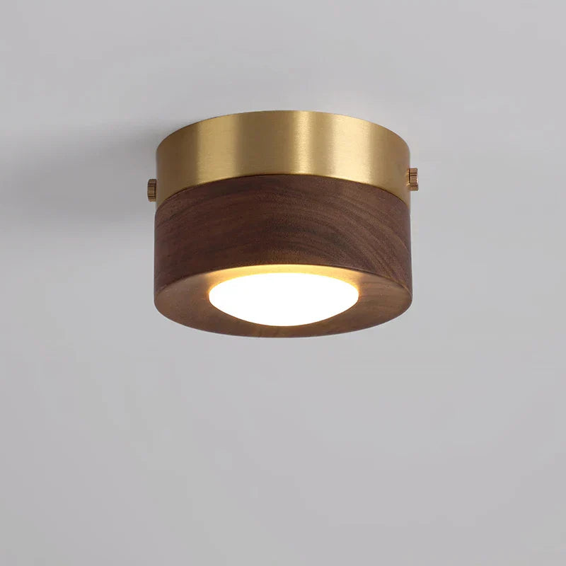 LED Ceiling Light in Walnut Wood with Spotlight | Novalum