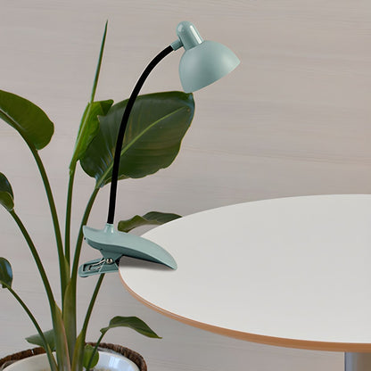 LED Clamp Lamp with Flexible Gooseneck Modern Style | Lumivo