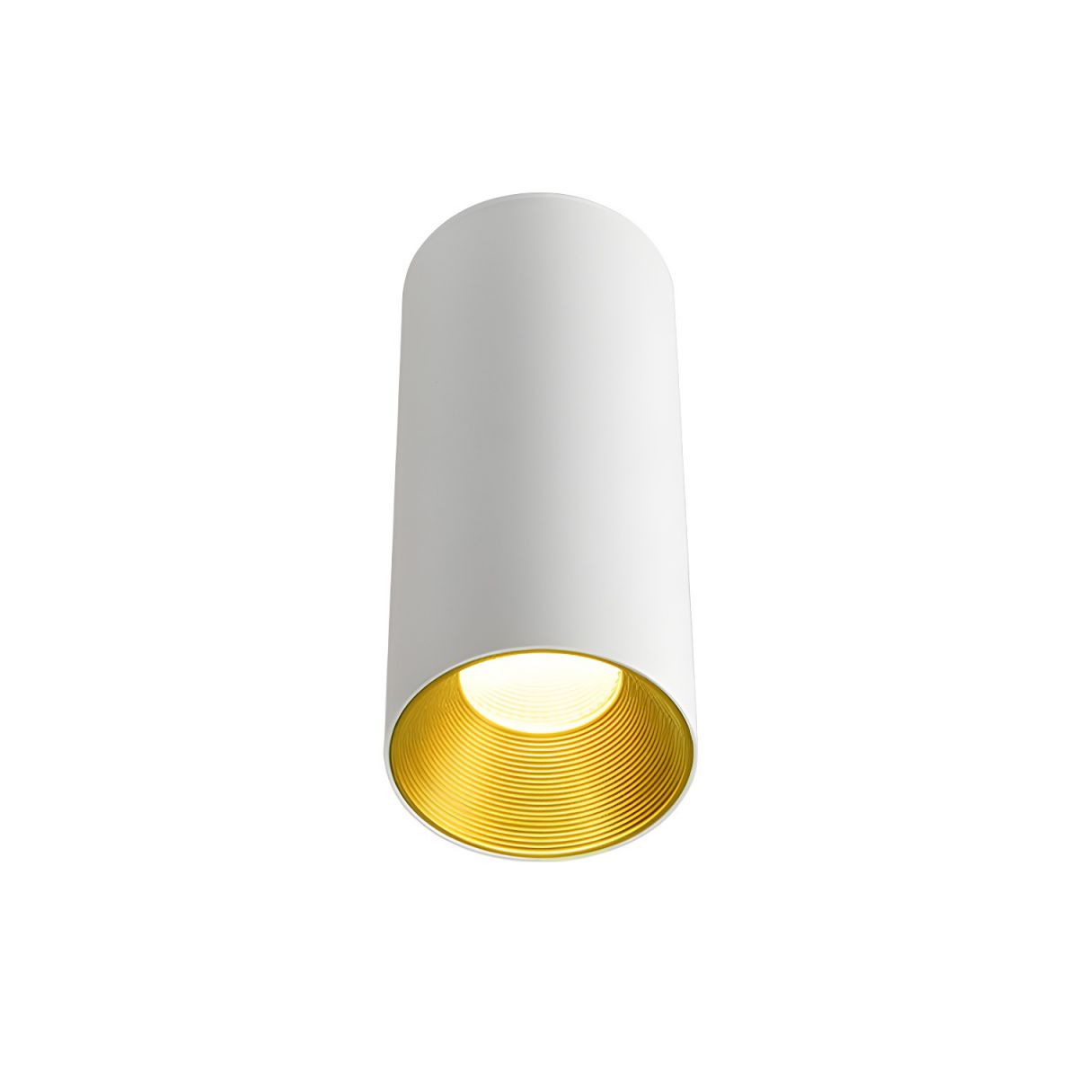 LED Metal Flush Mount Ceiling Light Nordic Style | Vireon