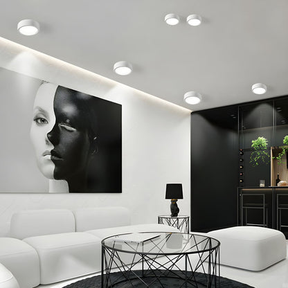 LED Nordic Cylinder Ceiling Light Flush Mount | Althea