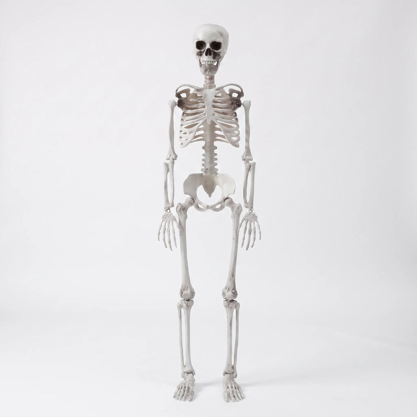 Life Size Poseable Halloween Skeleton Decoration