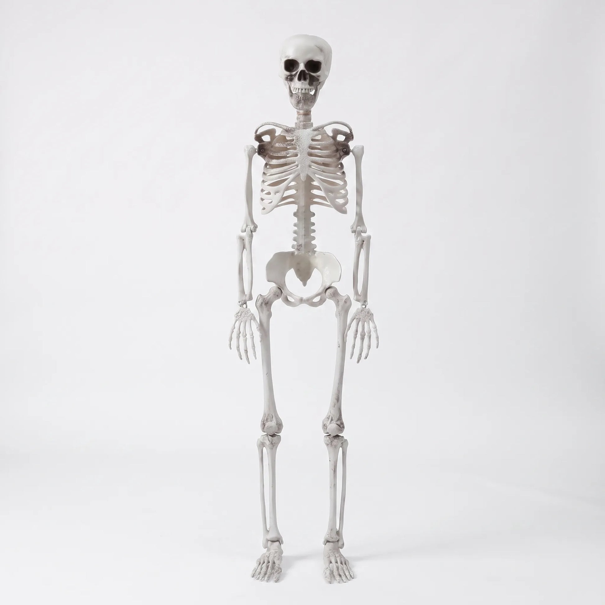 Life Size Poseable Halloween Skeleton Decoration