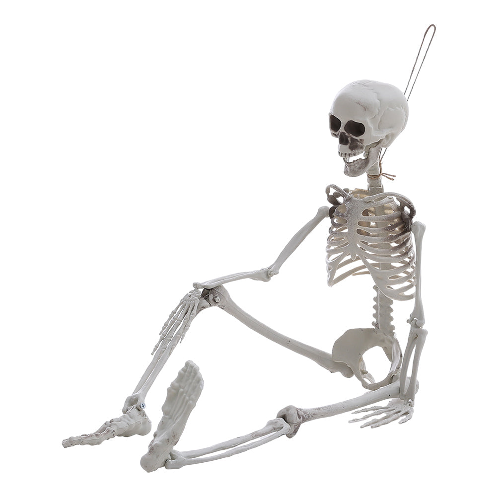 Life Size Poseable Halloween Skeleton Decoration