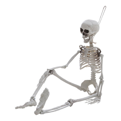 Life Size Poseable Halloween Skeleton Decoration