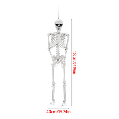 Life Size Poseable Halloween Skeleton Decoration