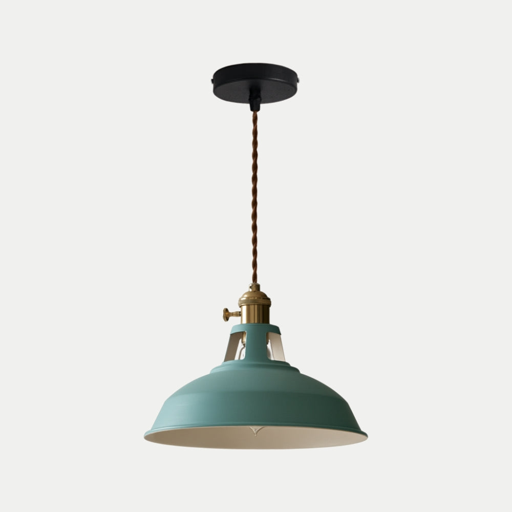 Metal LED Pendant Light in Colour Loft Style | Lanetra