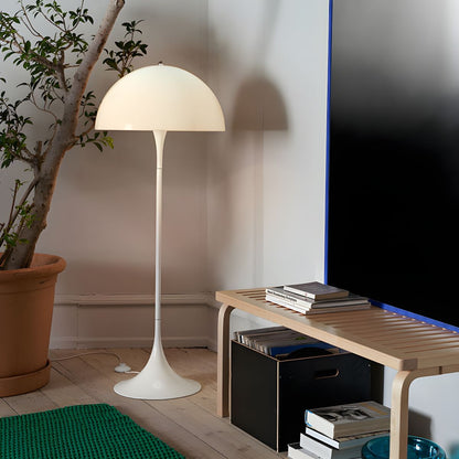 Minimalist Metal Floor Lamp Acrylic Dome Shade | Renlica