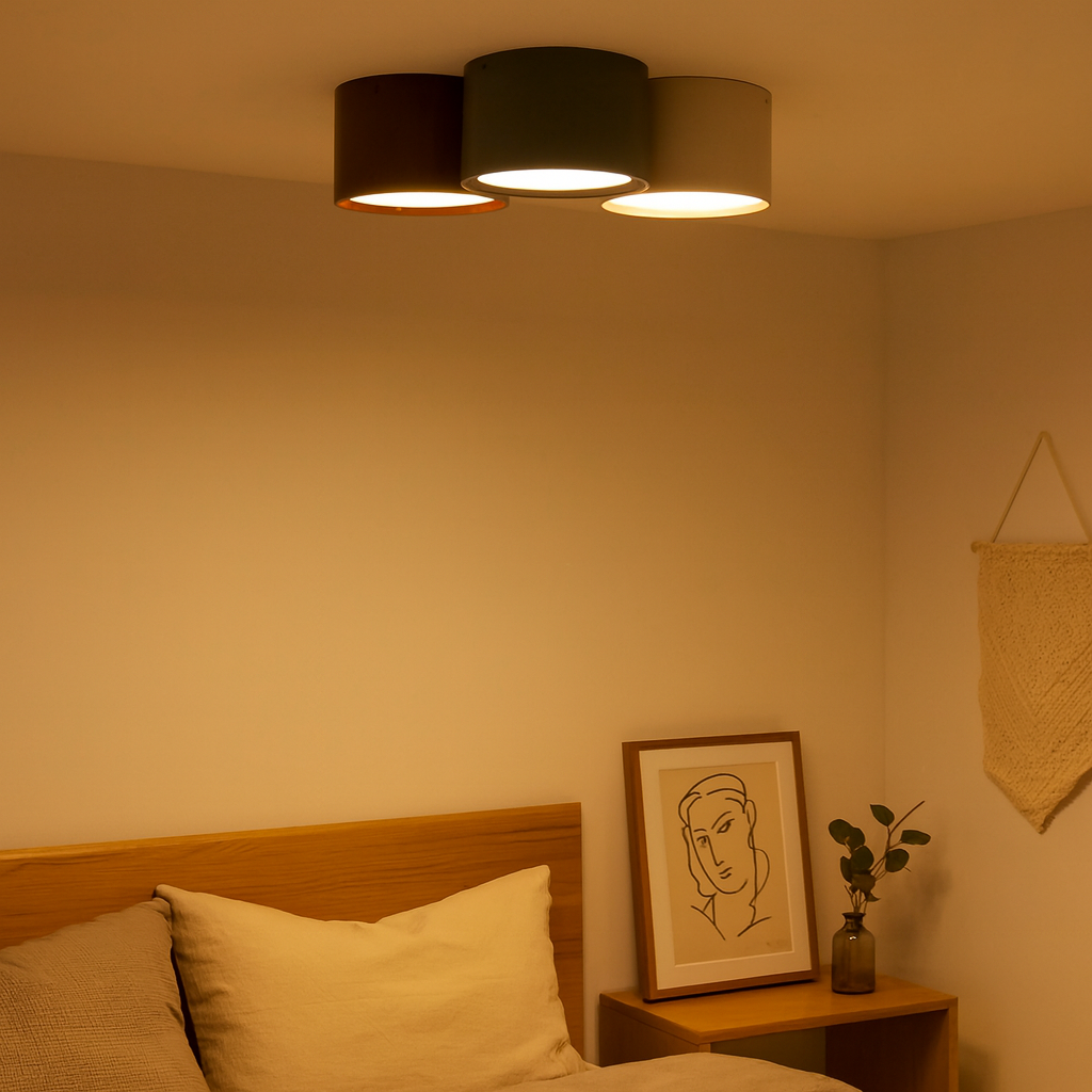 Minimalist Metal LED Ceiling Light for Indoor Spaces | Norvex