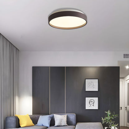 Modern Acrylic Ceiling Light with Sleek Design | Serava