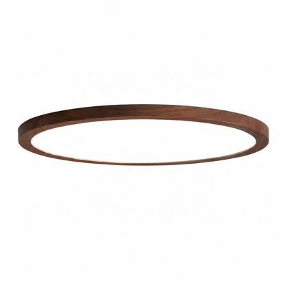 Modern LED Ceiling Light with Acrylic Shade | Luminexy