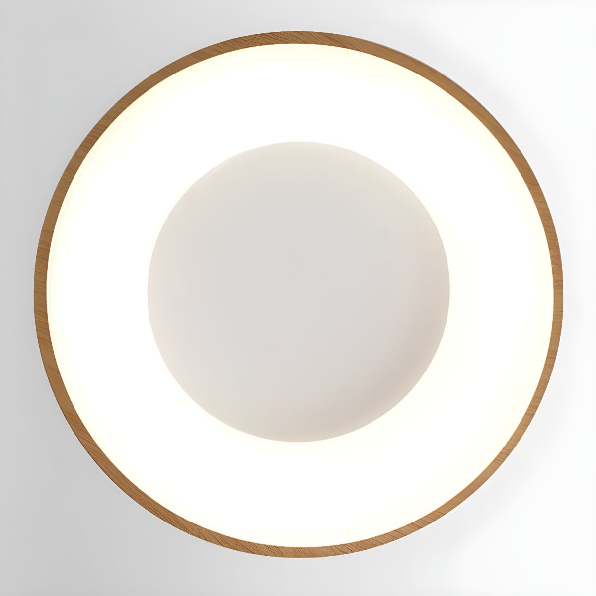 Modern LED Dimmable Ceiling Light with Acrylic Shade | Velmora