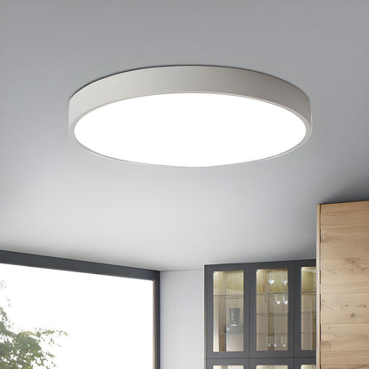 Modern LED Metal Ceiling Light Fixture | Zenvira
