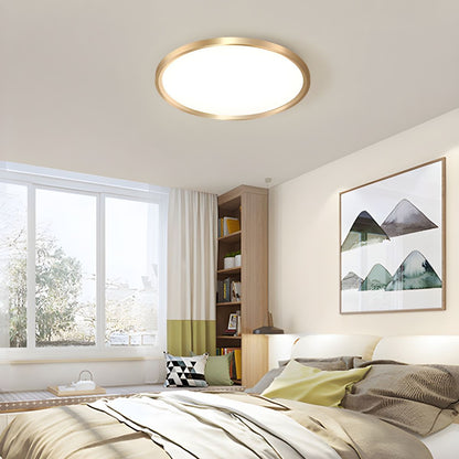 Modern LED Metal Flush Mount Ceiling Light | Alvion