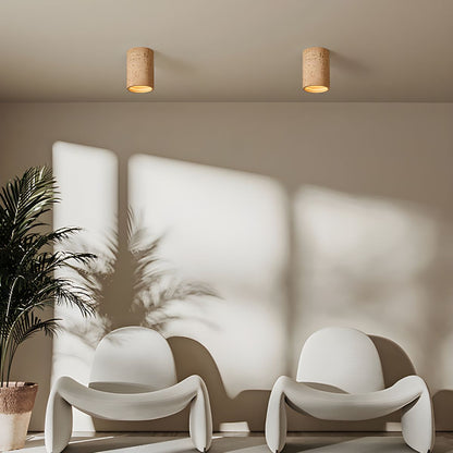 Modern Resin Nordic Ceiling Light Fixture | Lunser