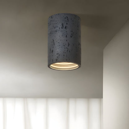 Modern Resin Nordic Ceiling Light Fixture | Lunser