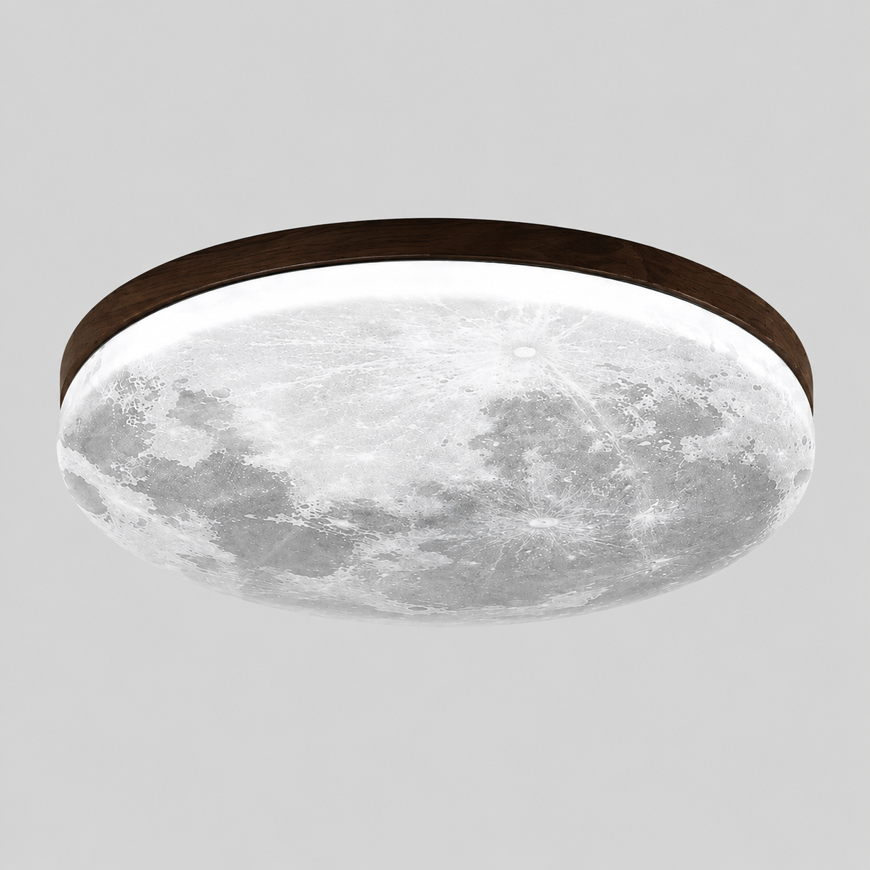 Moon Ceiling Lamp  Modern LED Ceiling Light Fixture