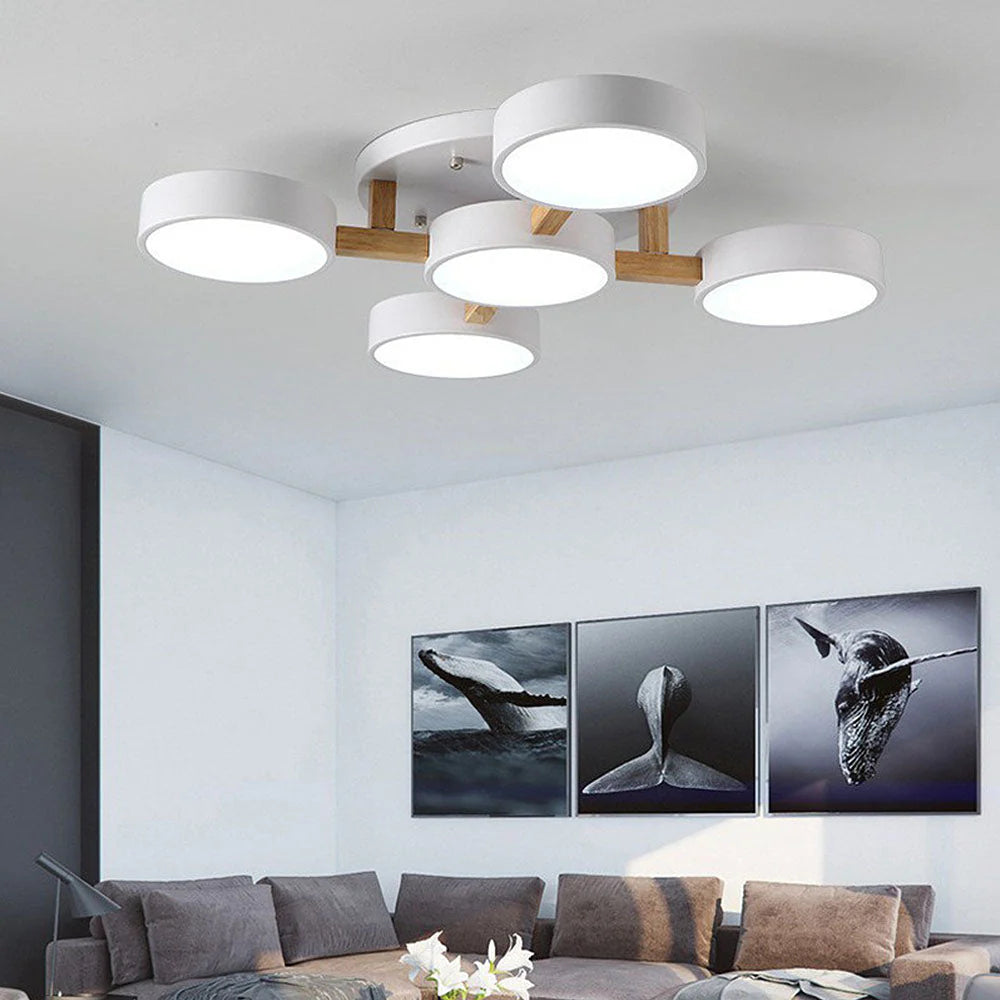 Nordic Acrylic Cluster Ceiling Light Fixture | Aurara