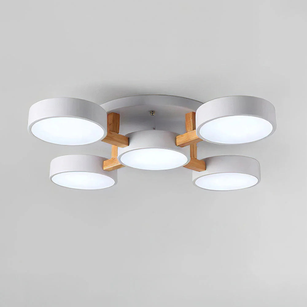 Nordic Acrylic Cluster Ceiling Light Fixture | Aurara