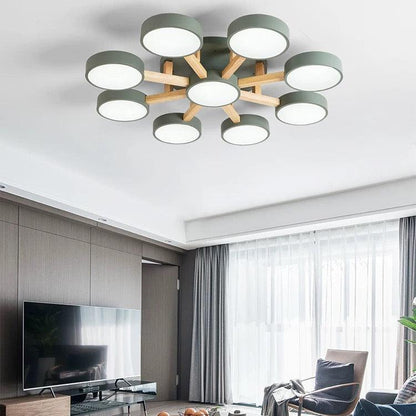 Nordic Acrylic Cluster Ceiling Light Fixture | Aurara