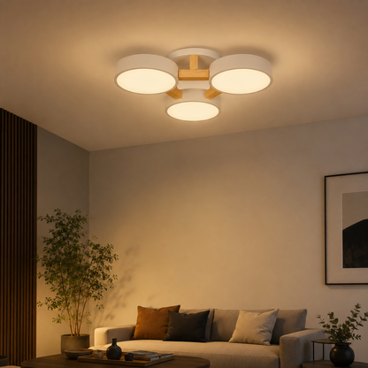 Nordic Acrylic Cluster Ceiling Light Fixture | Aurara