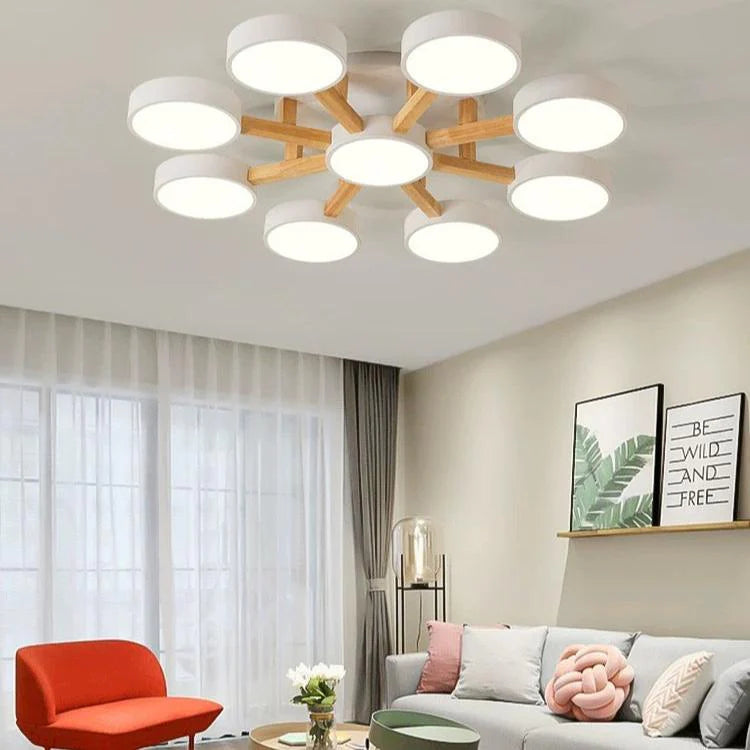 Nordic Acrylic Cluster Ceiling Light Fixture | Aurara