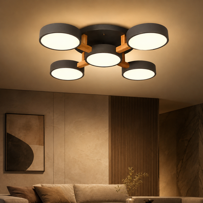 Nordic Acrylic Cluster Ceiling Light Fixture | Aurara