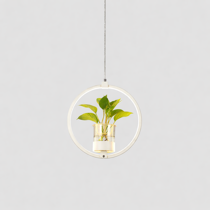 Nordic Acrylic LED Pendant Light for Dining Room | Cavirae
