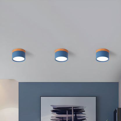 Nordic LED Metal Flush Mount Ceiling Light Fixture | Velisse