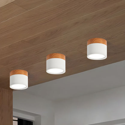 Nordic LED Metal Flush Mount Ceiling Light Fixture | Velisse