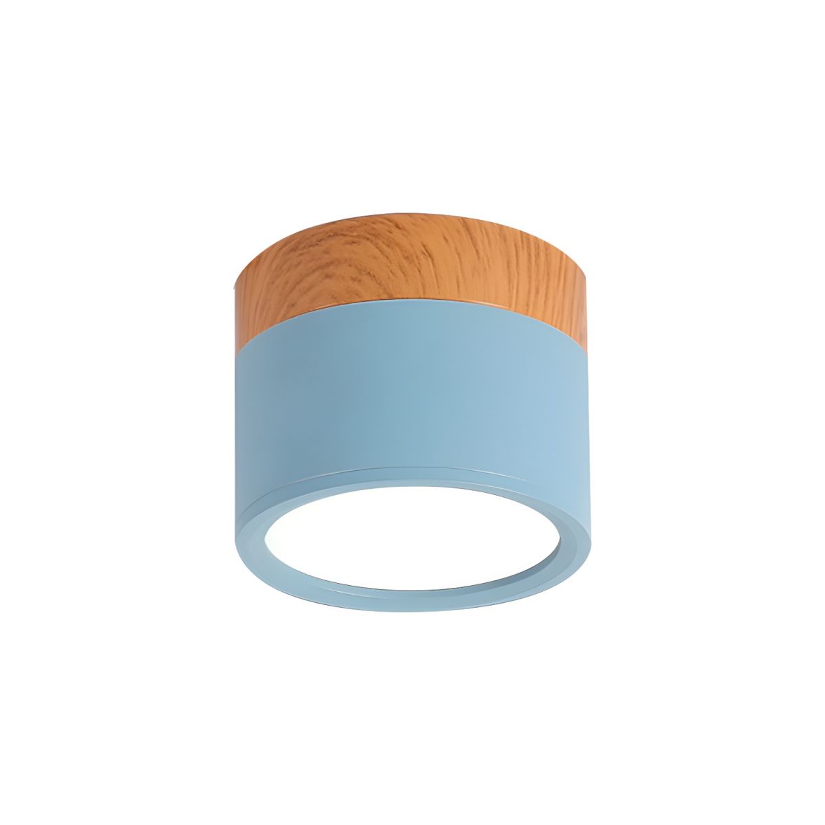 Nordic LED Metal Flush Mount Ceiling Light Fixture | Velisse