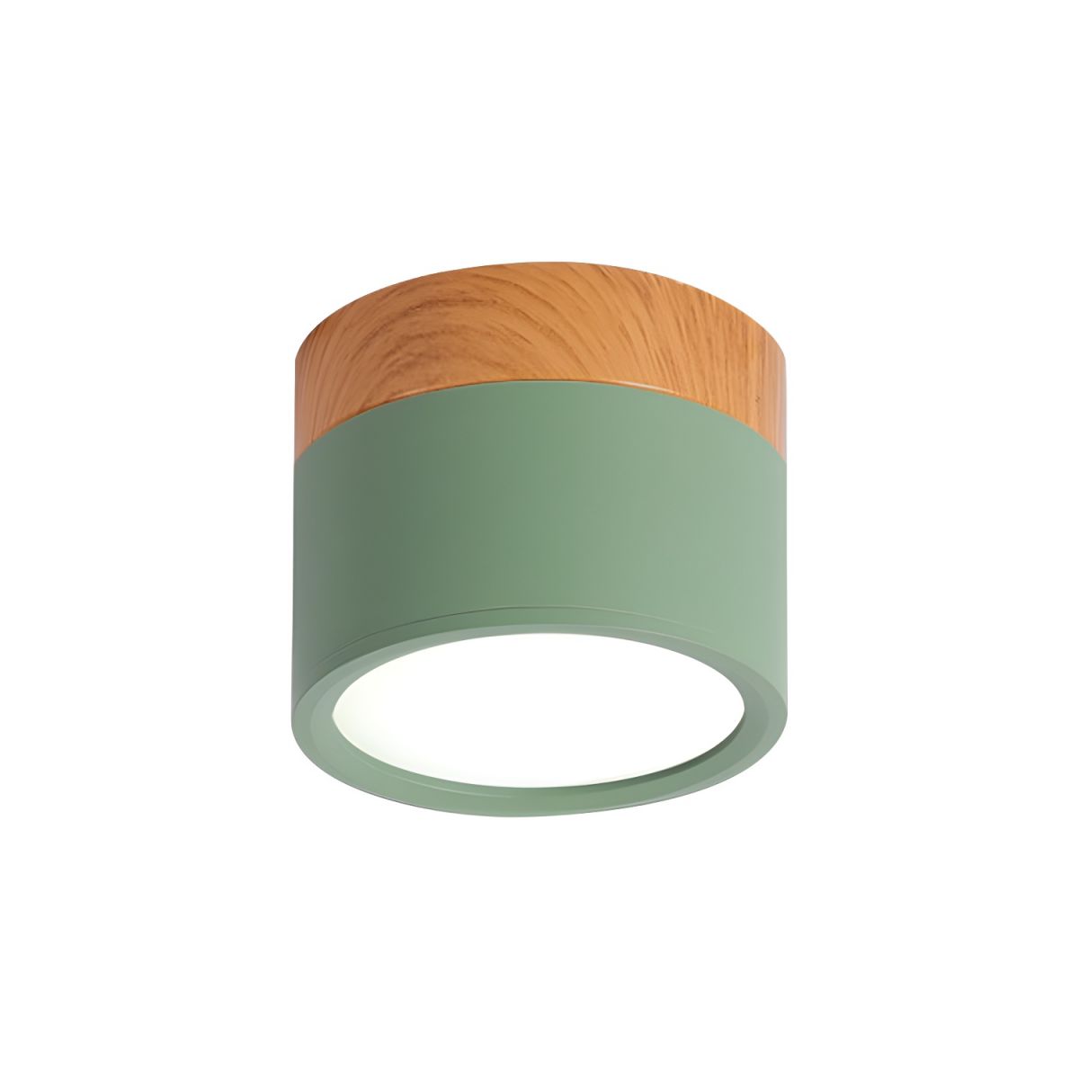 Nordic LED Metal Flush Mount Ceiling Light Fixture | Velisse