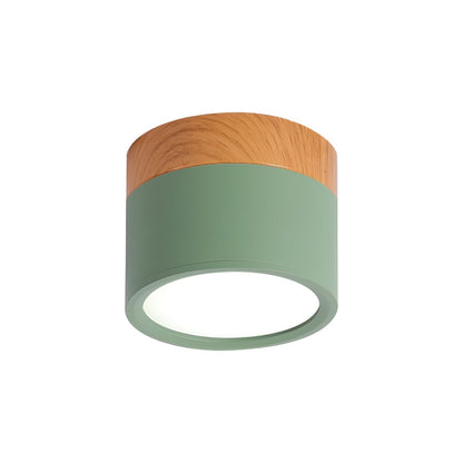 Nordic LED Metal Flush Mount Ceiling Light Fixture | Velisse