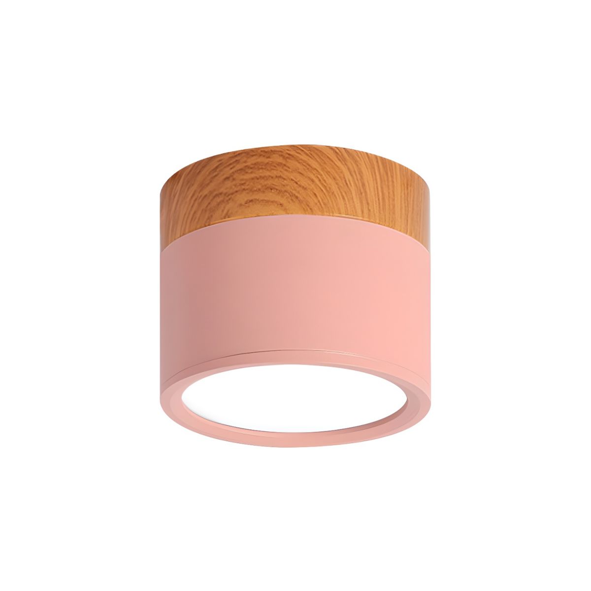 Nordic LED Metal Flush Mount Ceiling Light Fixture | Velisse