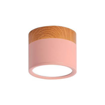 Nordic LED Metal Flush Mount Ceiling Light Fixture | Velisse