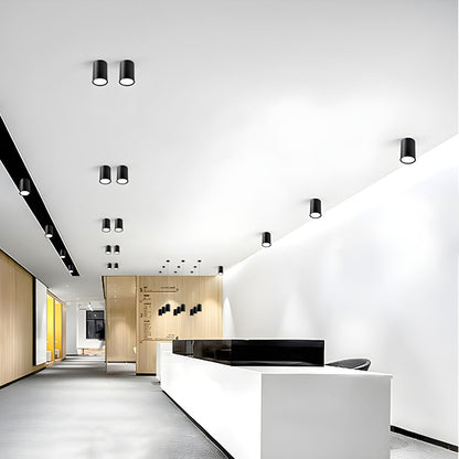 Nordic Metal LED Ceiling Light Fixture | Runetra